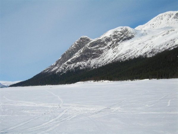 IMG_0291 (Large).JPG