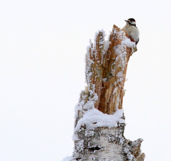 gil 075.JPG gil 075.JPG