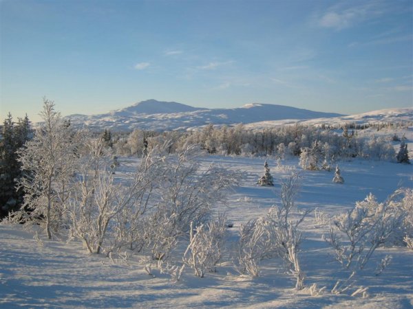 IMG_0412 (Large).JPG IMG_0412 (Large).JPG