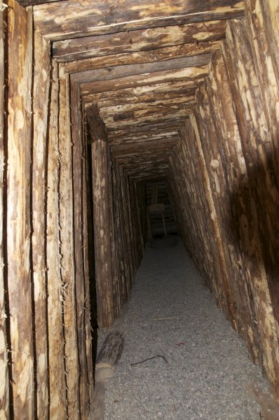 DSC_1196.jpg DSC_1196.jpg