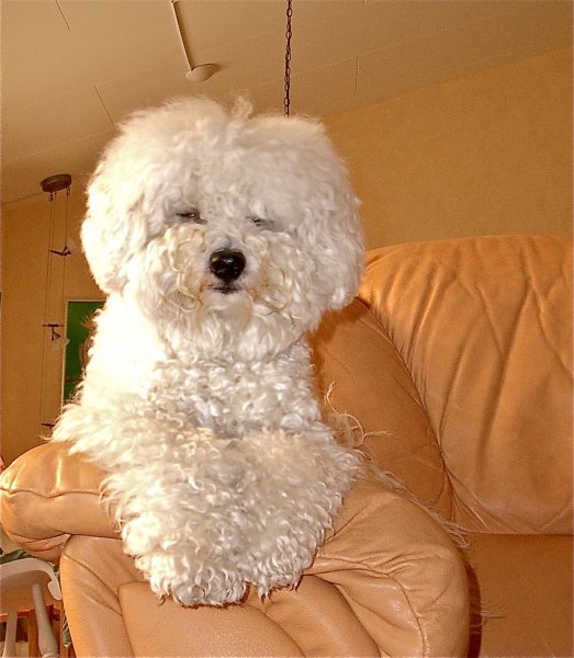 Bild 3, Skåne o Småland okt -05 025.jpg