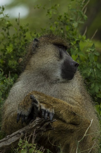 130203.022.jpg 130203.022.jpg