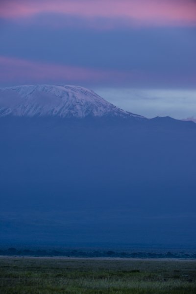 130203.029-2.jpg 130203.029-2.jpg