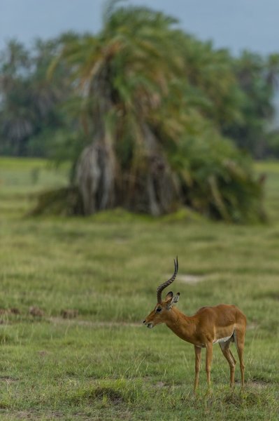 130203.034.jpg 130203.034.jpg