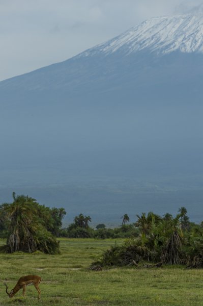 130203.037.jpg 130203.037.jpg