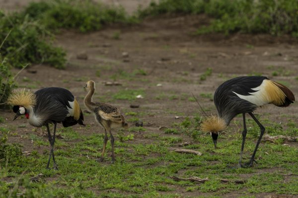 130203.076.jpg 130203.076.jpg