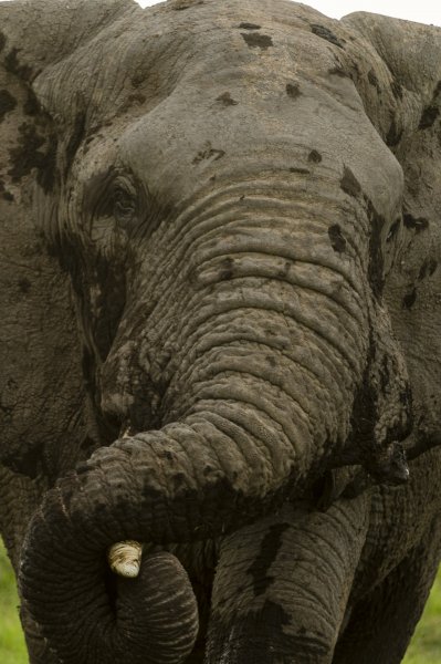 130203.178.jpg 130203.178.jpg