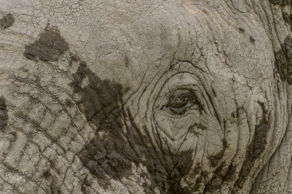 130203.184.jpg 130203.184.jpg