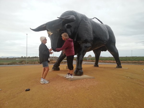 2012-10-21 08.42.02.jpg