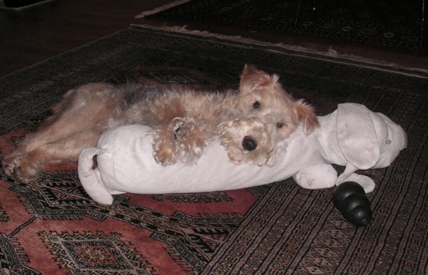 Ester med kompisen Tjabo 002.jpg