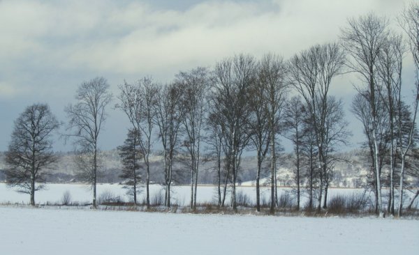 n 011-001.JPG n 011-001.JPG