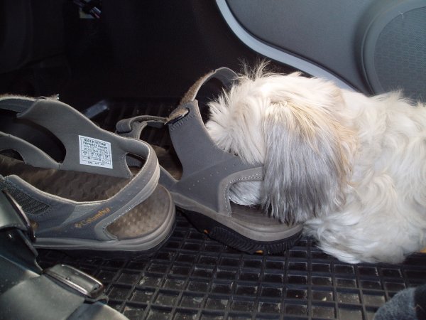 Sommar 2008 del 2 008.jpg