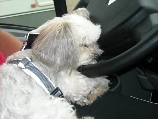 Semester 2009 082.jpg