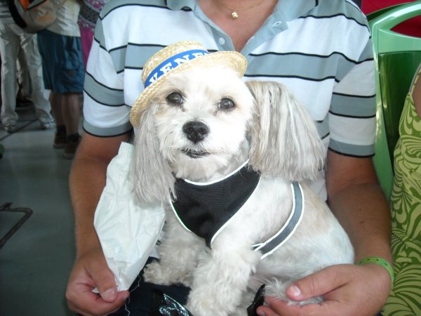 Semester 2009 008.jpg