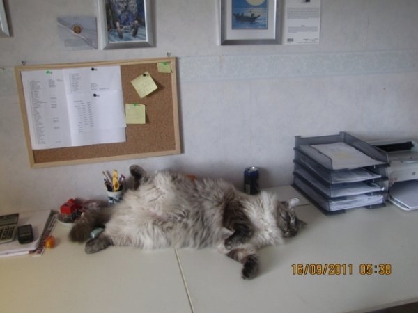 IMG_0637 (640x480) (640x480).jpg