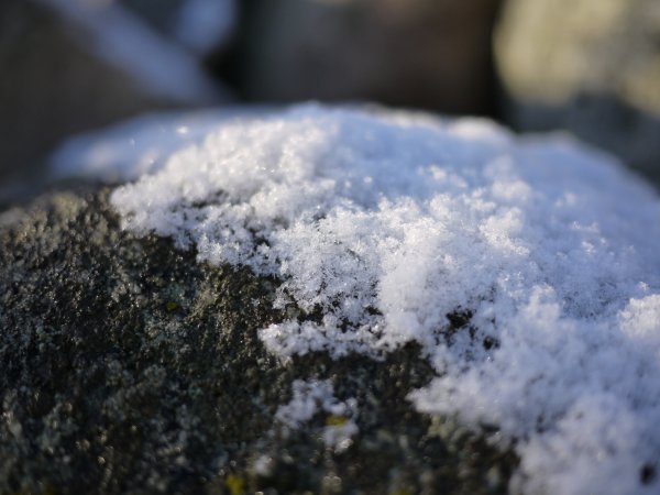 ranarp snökristall.JPG