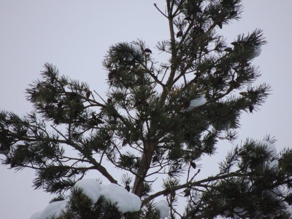 DSCN0491.JPG DSCN0491.JPG