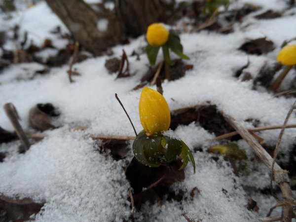 SAM_0041.JPG SAM_0041.JPG