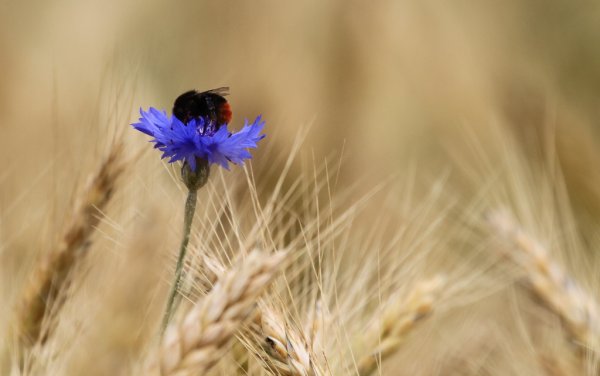 1-hhhhhhhhhhhhhhh 031.JPG