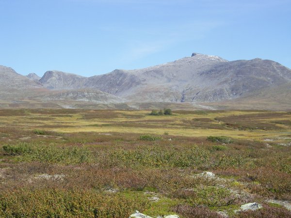 f 065.jpg