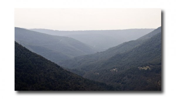 DSC_0139aae.jpg