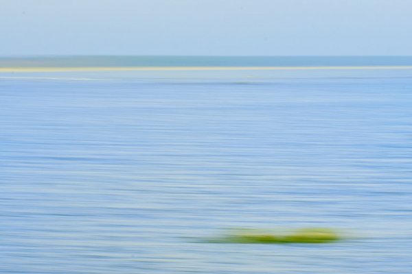_DSC0536ae.jpg