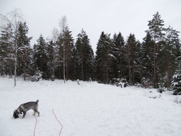 DSCN0558.JPG DSCN0558.JPG