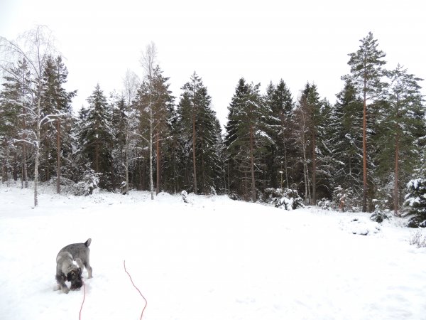 DSCN0559.JPG DSCN0559.JPG