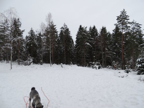 DSCN0562.JPG DSCN0562.JPG