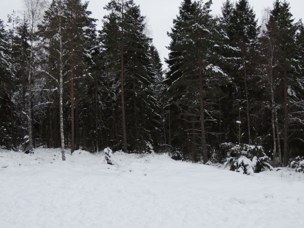 DSCN0585.JPG DSCN0585.JPG