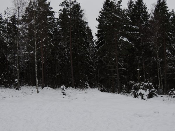 DSCN0582.JPG DSCN0582.JPG