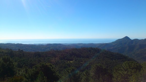 2013-02-14 11.18.08.jpg