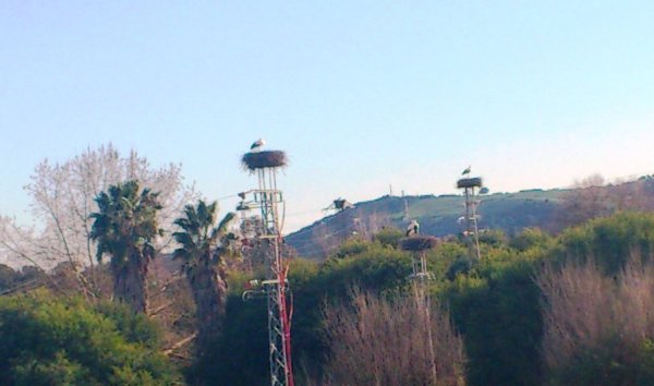 2013-02-14 17.06.43.jpg