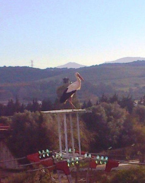 2013-02-14 17.07.00.jpg