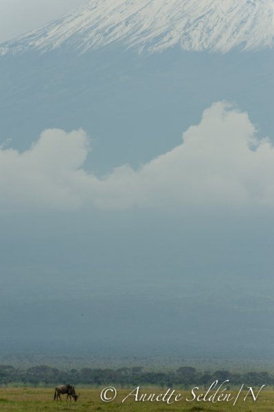 130203.015.jpg 130203.015.jpg