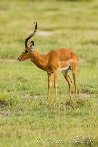 130203.038.jpg 130203.038.jpg