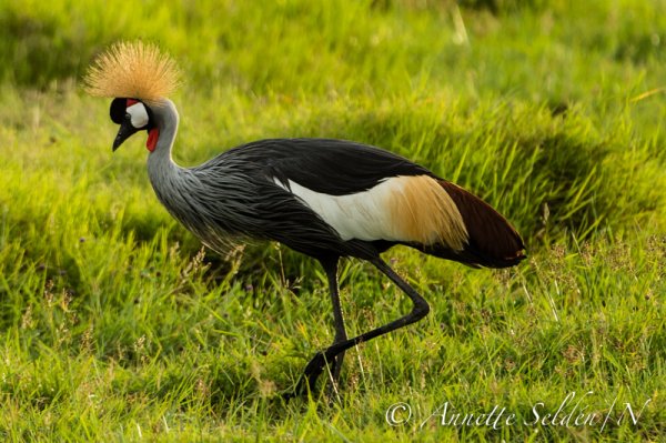 130203.270.jpg 130203.270.jpg