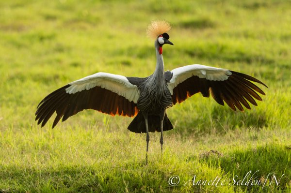 130203.301.jpg 130203.301.jpg