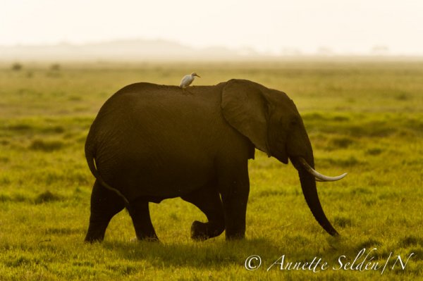 130203.317.jpg 130203.317.jpg