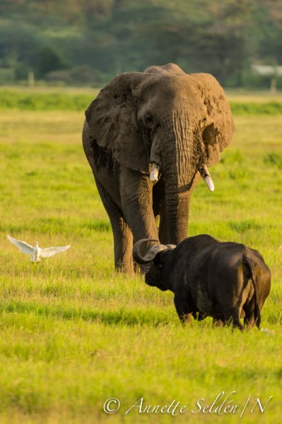 130203.386.jpg 130203.386.jpg