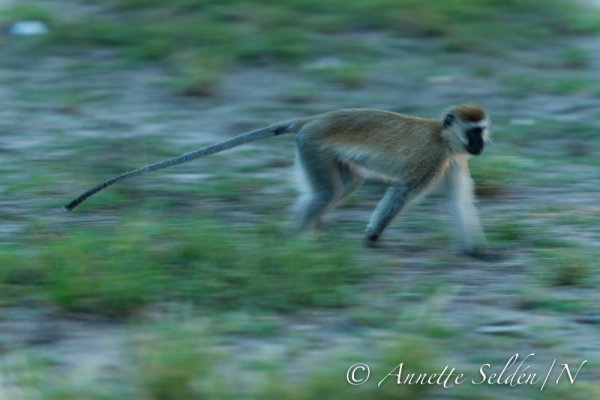 130203.446.jpg 130203.446.jpg