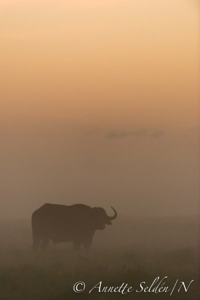 130204.489.jpg 130204.489.jpg