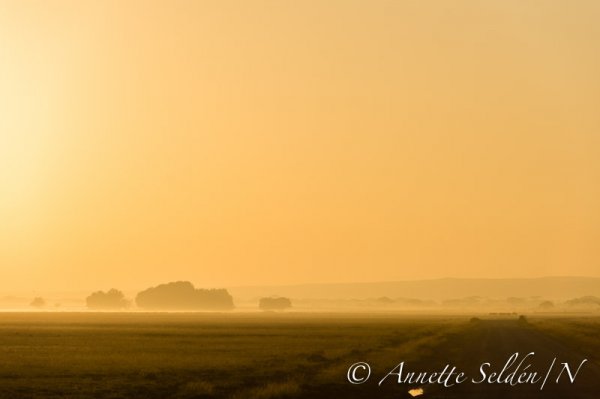 130204.506.jpg 130204.506.jpg