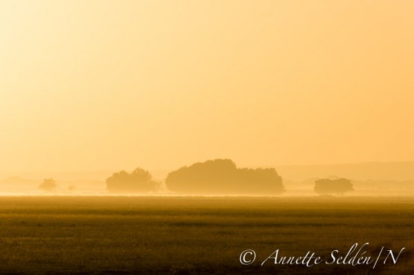 130204.508.jpg 130204.508.jpg