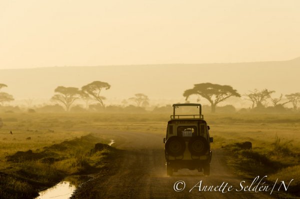 130204.524.jpg 130204.524.jpg