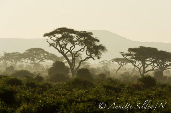 130204.536.jpg 130204.536.jpg