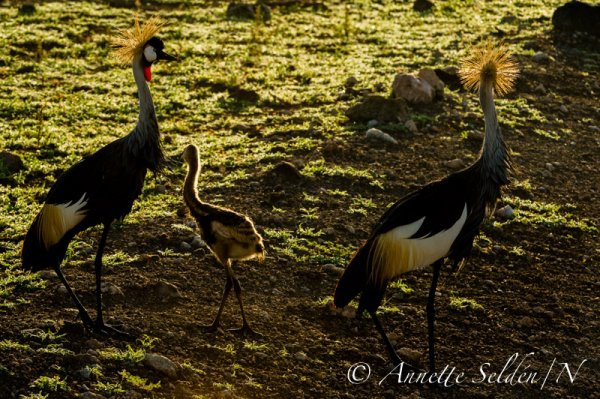 130204.591.jpg 130204.591.jpg