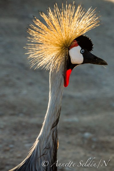 130204.599.jpg 130204.599.jpg