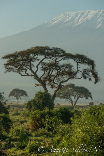 130204.603.jpg 130204.603.jpg