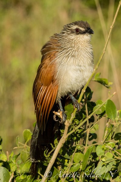 130204.639.jpg 130204.639.jpg